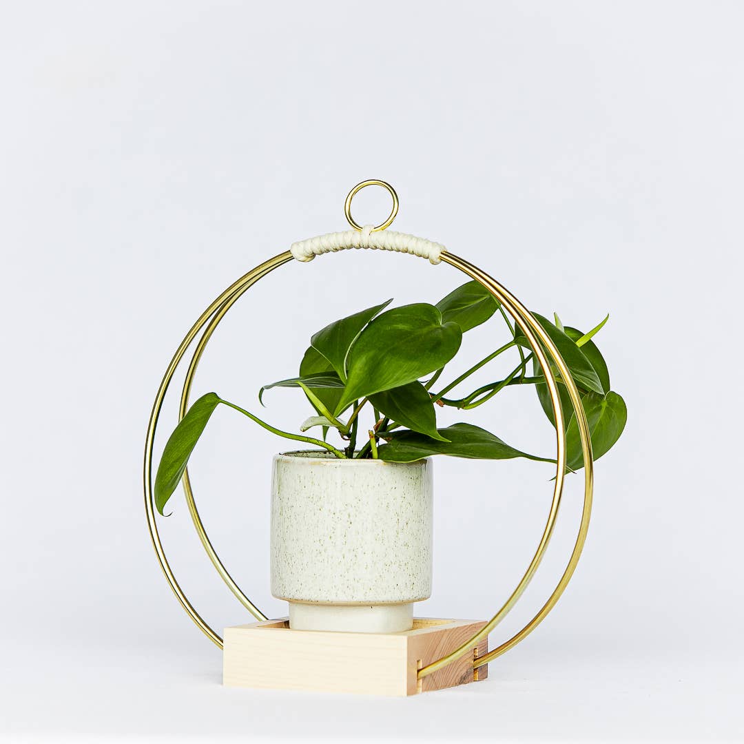 brass ring hanging planter Plant Hanger (Small) – Hip Finds Company