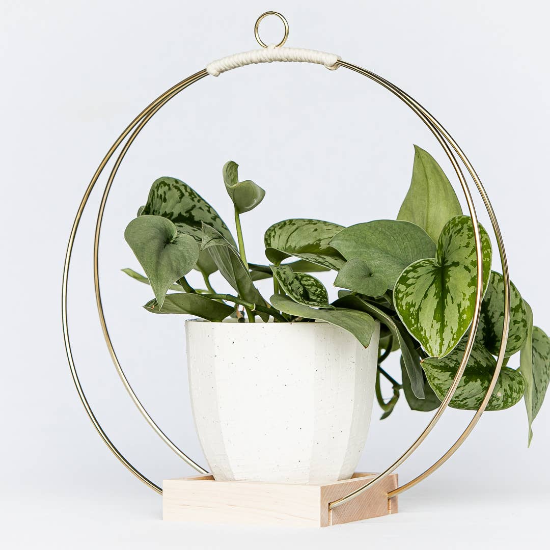 round hanging plant shelf Plant Hanger