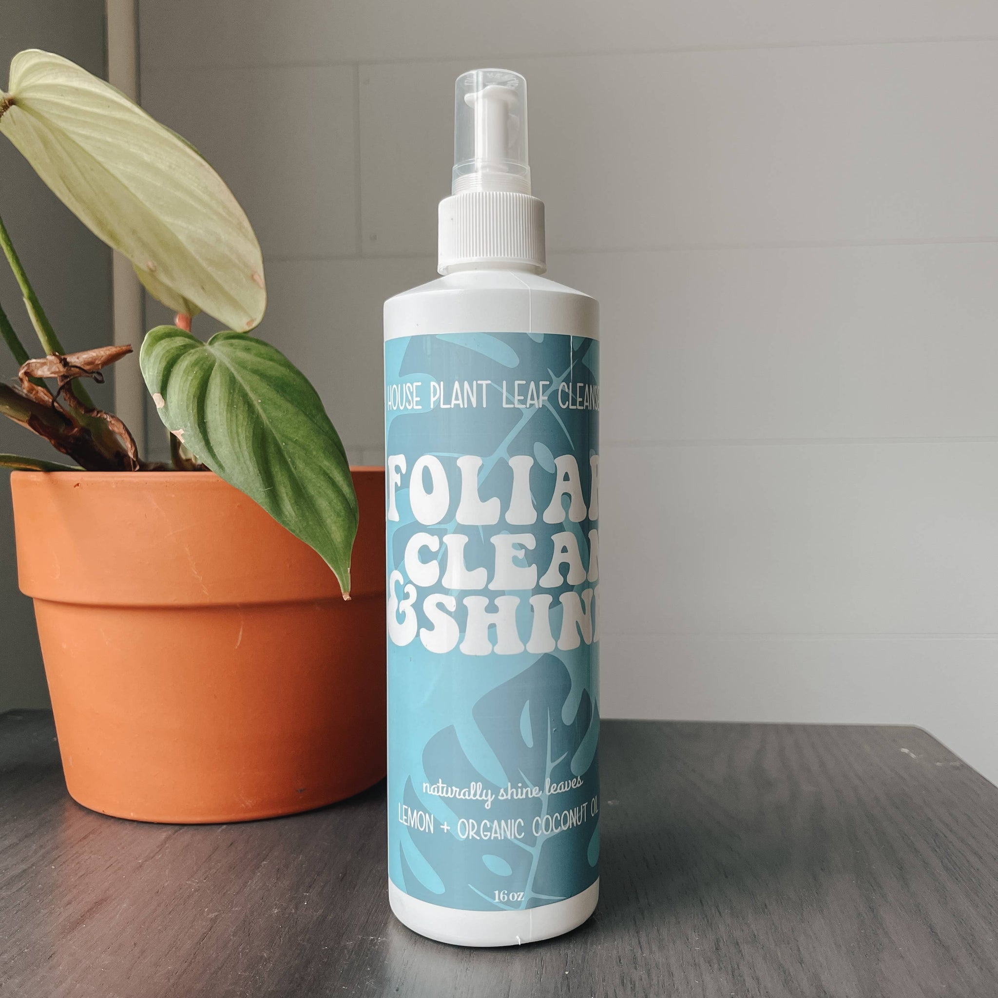 The Lush Studio Foliar House Plant Leaf Cleanser - Thumbnail 5